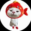 user0_07242