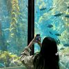 talita.cantik259