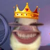 stphhhhne