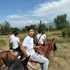 zhanserytolbasy