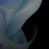 nnllooppmaks