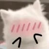 shiinb_