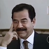 sadam503