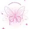 daisesareflowers
