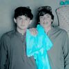 usamagull353