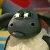 dora23469