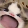 ygatauuu_123