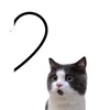 _riley_the_cat