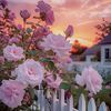 fatimah_mustaring