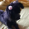 glorianancycamp1