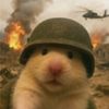.a911578