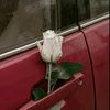 yahya.mohamed48