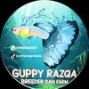 gupyrazqa202415