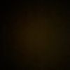 user7362402468280