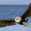tuanvu0150