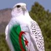 user3857661222735