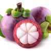 mangosteen_sriver