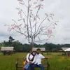 hafizcenna8