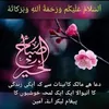 amirhussain4281
