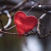 amor___0303