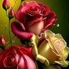 user3882040908855