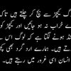 ibrahimsonia4