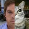 _i_am_dexter_morgan_