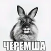 woldayl