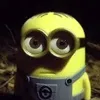 minion.com.minion