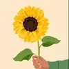 sunflower_31000