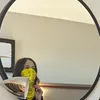 scaledandicylover