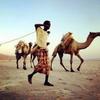 camel_herder1