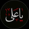 313ahmed659