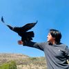evantheraven