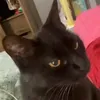 mfw7837