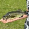 fishingislife40