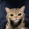 shela_mel