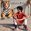 krishansaini2821