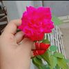oppoa0374