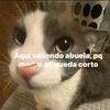 tlacuachitoart