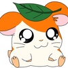 hamtaro1230