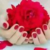 .mughal88.88