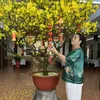 nguyenhong8630