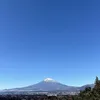 _955054