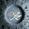 amhamady73