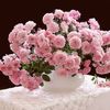 halyna.dunets