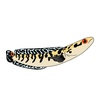 rka_snakehead01