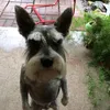 xdfthbhujj