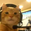 laebaepubgm