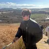 jin4hong